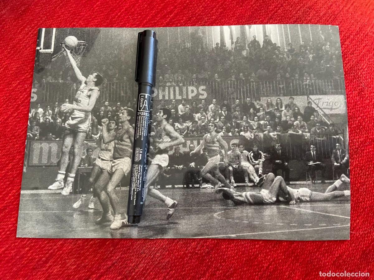 Sports collectibles: F31901 FOTO FOTOGRAFIA ORIGINAL COPA EUROPA BALONCESTO REAL MADRID HONVED (5-12-1969)