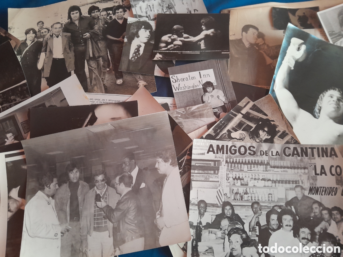 Sammelleidenschaft Sport: Documents fotograf&iacute;as del boxeador 7 veces campe&oacute;n europeo Alfredo Evangelista