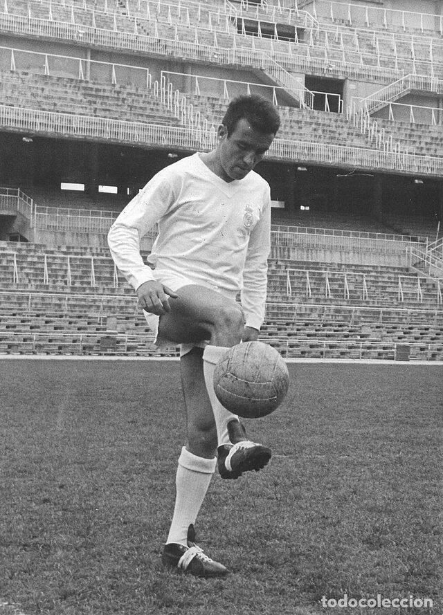 Coleccionismo deportivo: LUIS DEL SOL. R. MADRID. FOTO