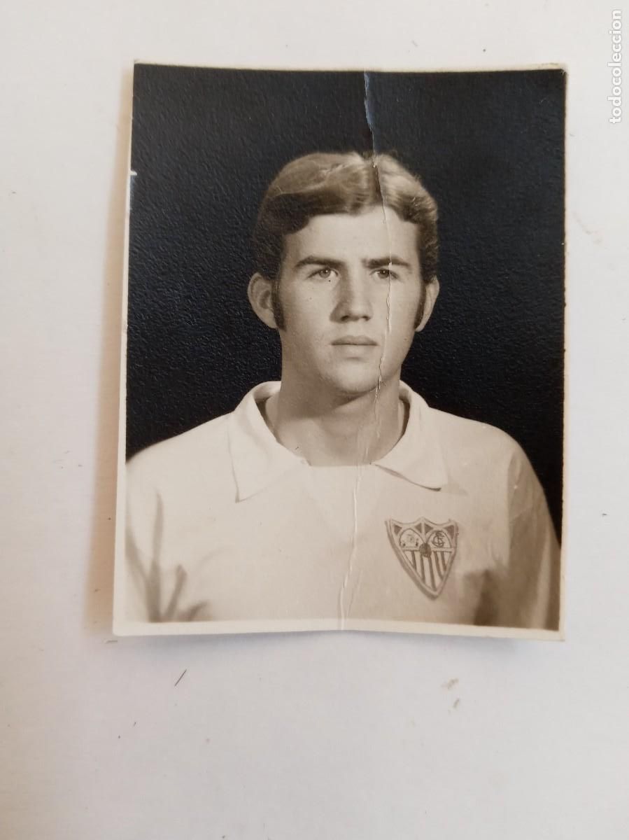 Coleccionismo deportivo: SEVILLA F.C. : FOTO DE CARNET DE UN JUGADOS CON LA CAMISETA SEVILLISTA .