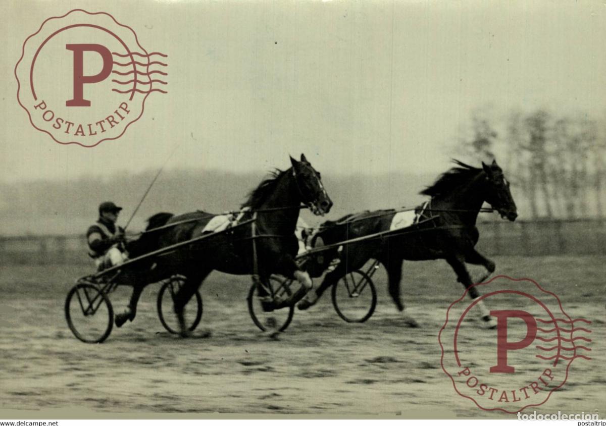 Coleccionismo deportivo: GRANDE EPREUVE INTERNATIONALE DE TROT VINCENNES GRANDS CHEVAUX HAZLETON ITALY17*12CM Photo Meuriss