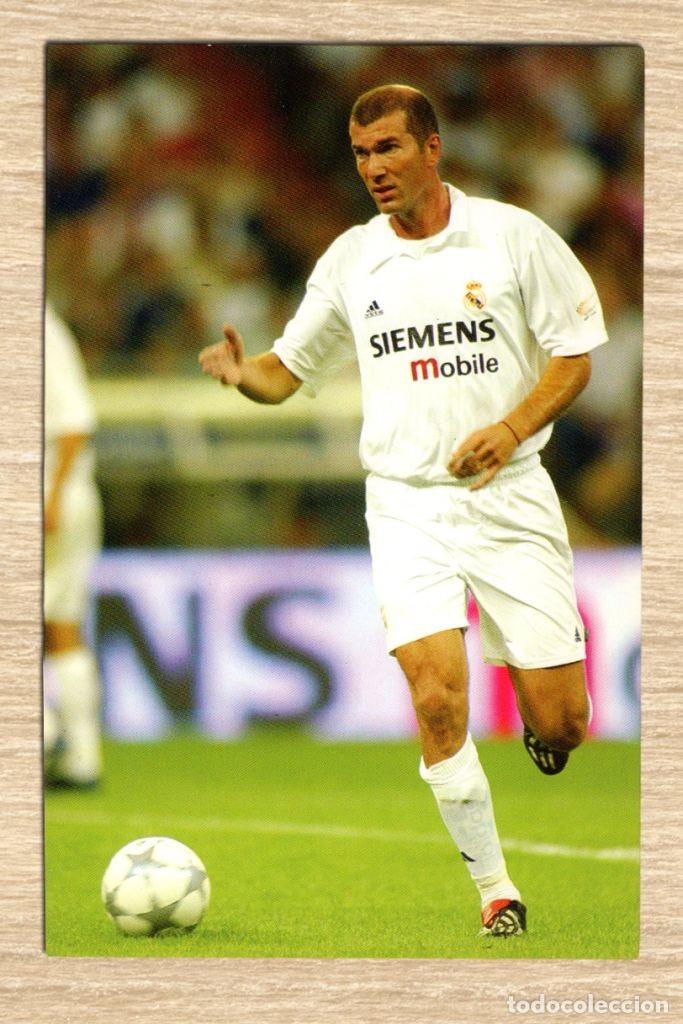 Colecionismo desportivo: Foto Oficial del Real Madrid Zinedine Zidane