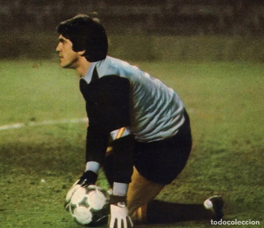 Coleccionismo deportivo: L.M. ARCONADA. SELECCI&Oacute;N ESPA&Ntilde;OLA DE F&Uacute;TBOL. FOTO