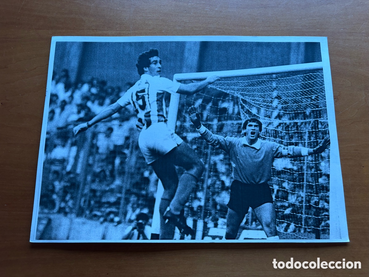 Coleccionismo deportivo: Fotograf&iacute;a Athletic Club Bilbao 83-84 Tama&ntilde;o A4