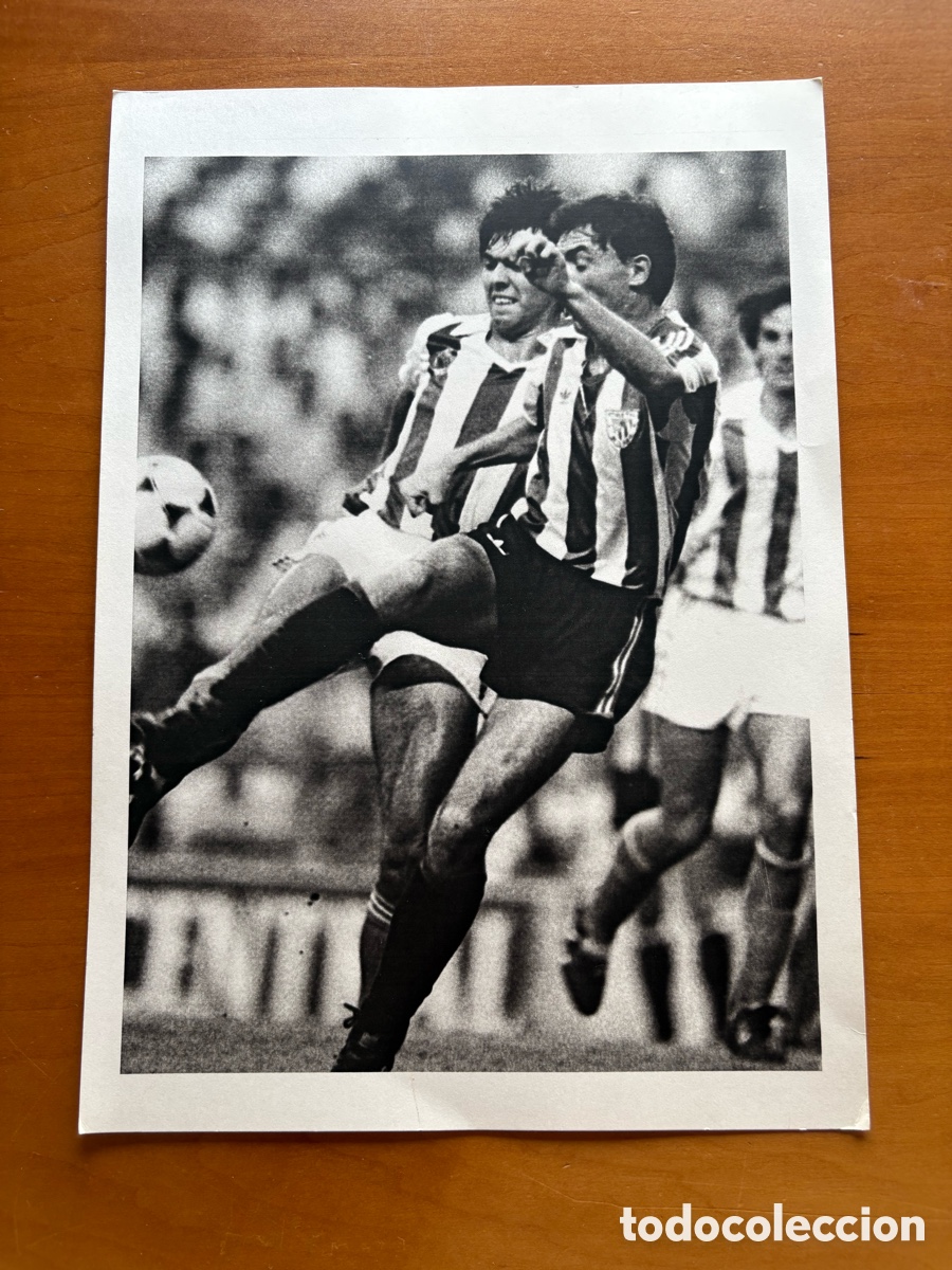 Coleccionismo deportivo: Fotograf&iacute;a Athletic Club Bilbao 83-84 Tama&ntilde;o A4