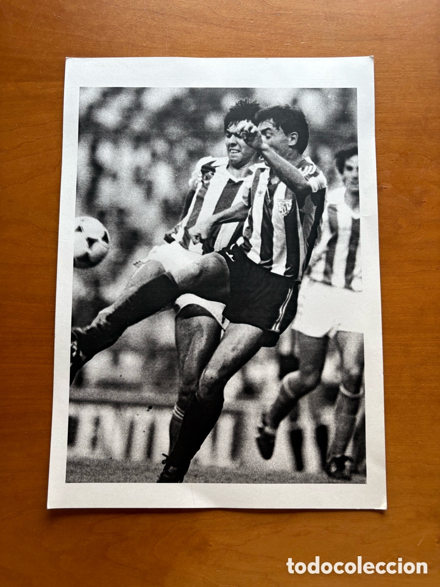 Collectionnisme sportif: Fotograf&iacute;a Athletic Club Bilbao 83-84 Tama&ntilde;o A4