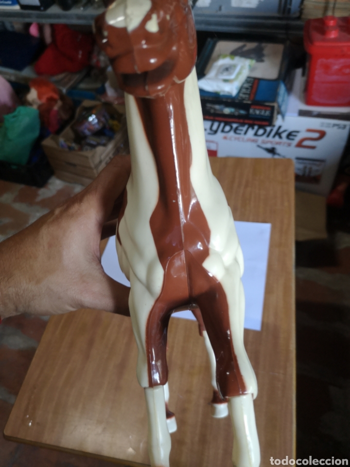 Geyperman: CABALLO INDIO MUSTANG DE GEYPERMAN REF 7522 - Foto 11