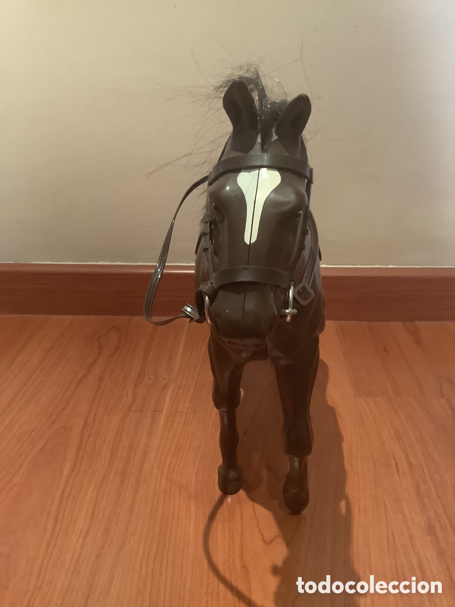Geyperman: Caballo del Indio y Cowboy Geyperman - Foto 2