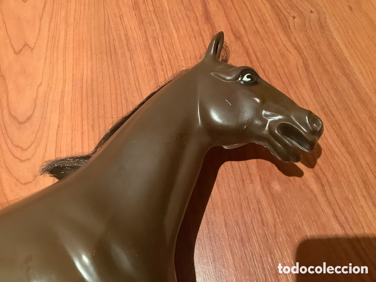 Geyperman: Caballo del Indio y Cowboy Geyperman - Foto 8