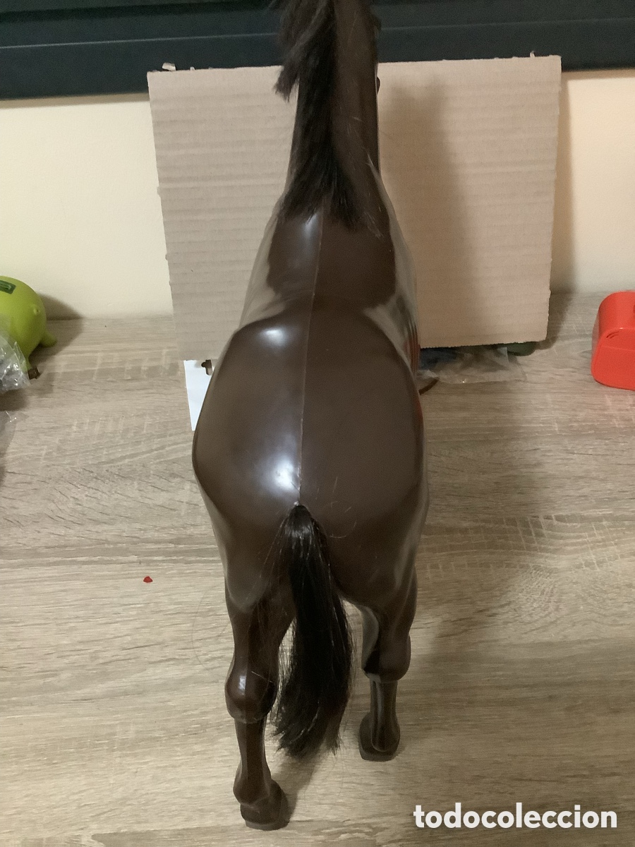 Geyperman: Caballo del Indio y Cowboy Geyperman - Foto 4