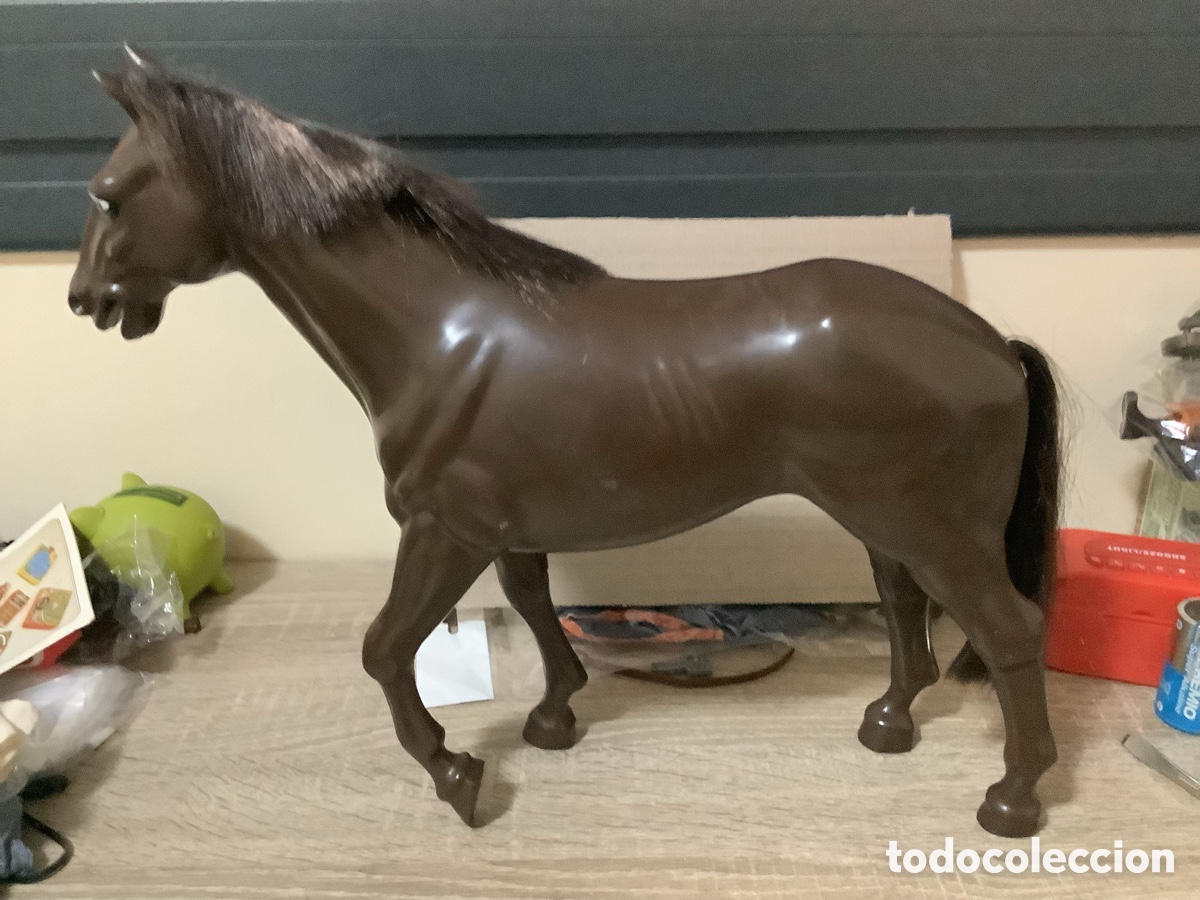Geyperman: Caballo del Indio y Cowboy Geyperman - Foto 1