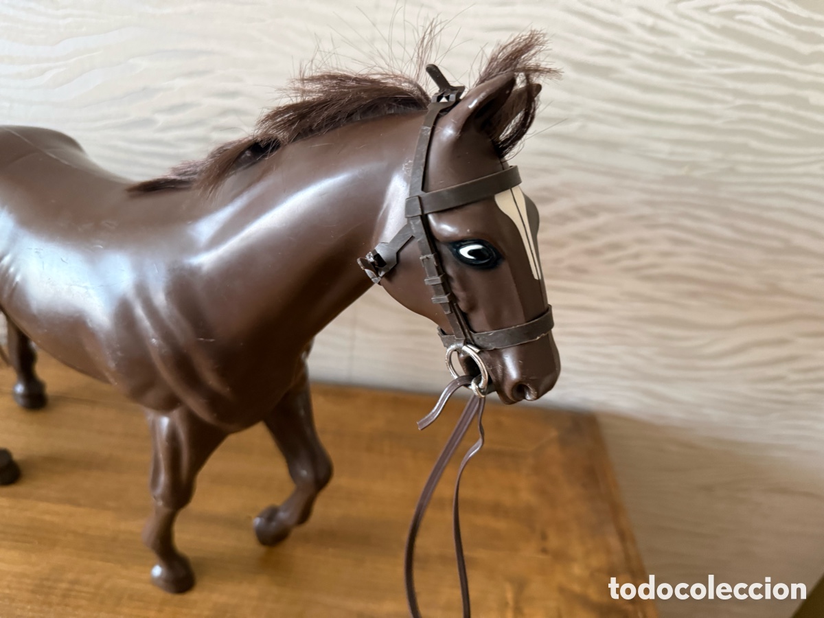 Geyperman: CABALLO MARR&Oacute;N. GEYPERMAN - Foto 5