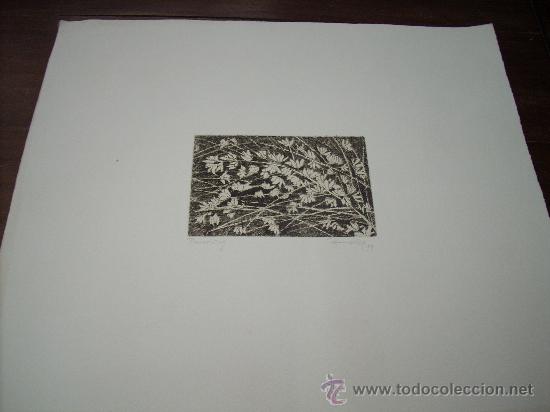 Grabados antiguos y estampaciones: PRECIOSO GRABADO - Foto 2