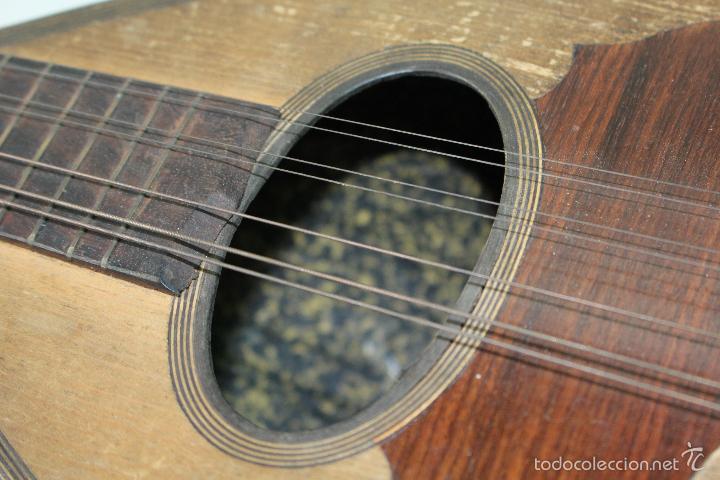 Instrumentos musicales: mandolina silvetri catania - Foto 2