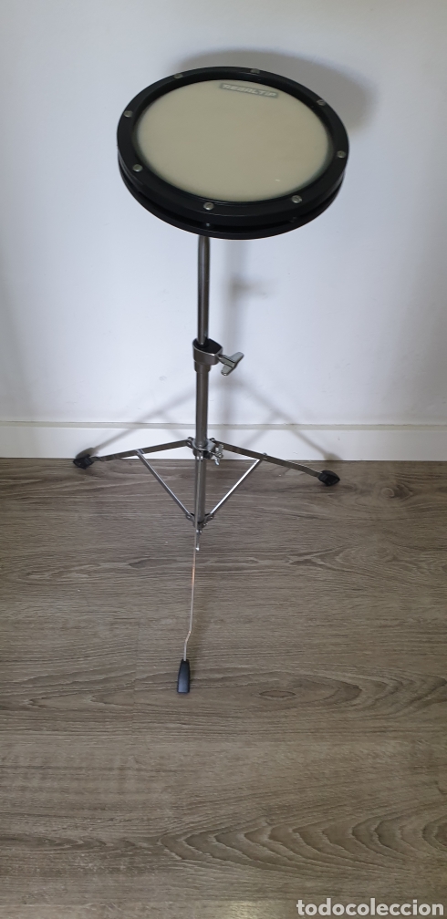 Instrumentos musicales: pack de pr&aacute;cticas regal tip - Foto 5