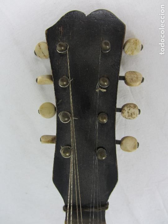 Instrumentos musicales: Mandolina del siglo XIX - Foto 3