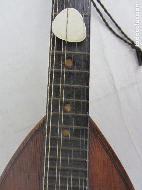 Instrumentos musicales: Mandolina del siglo XIX - Foto 4