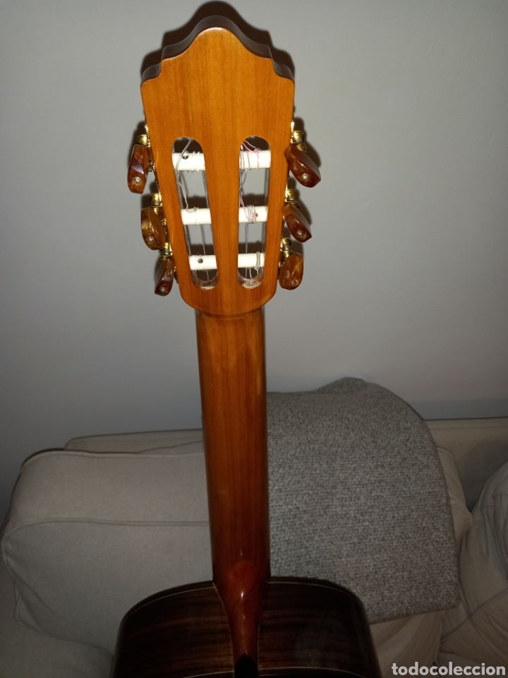 El Flamenco Vive | Flamenco Professional Studio Guitar Felipe Conde F14  Rosewood | Madrid, Spain