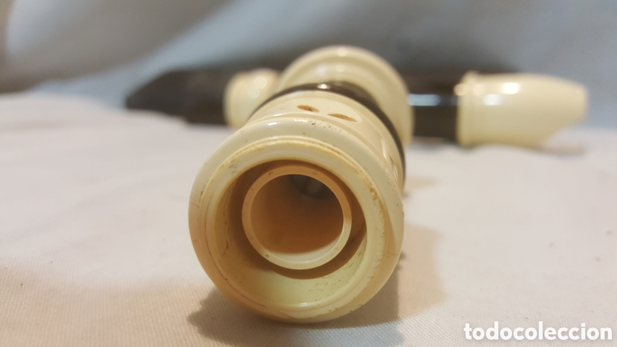 Instrumentos musicales: FLAUTA DE PL&Aacute;STICO POL BRESSAN CON FUNDA - Foto 3