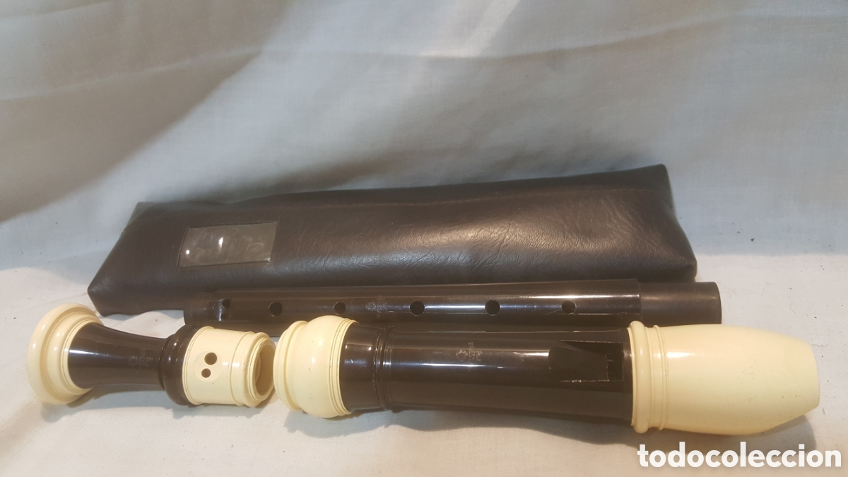 Instrumentos musicales: FLAUTA DE PL&Aacute;STICO POL BRESSAN CON FUNDA - Foto 1