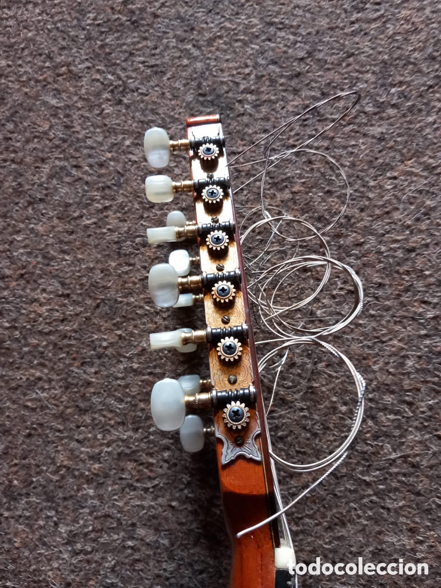Instrumentos musicales: Dos bandurrias en perfecto estado - Foto 9
