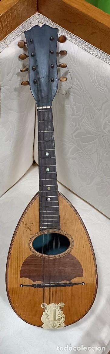 Instrumentos musicales: -PHEBE- MANDOLINA FRANCESA S.XIX - Foto 1