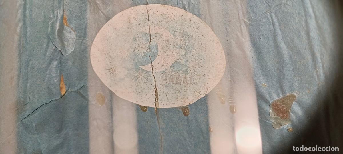 Instrumentos musicales: -PHEBE- MANDOLINA FRANCESA S.XIX - Foto 10