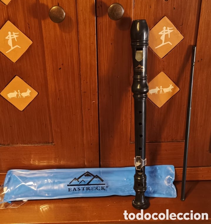 Instrumentos musicales: flauta dulce eastrock pvc - Foto 1