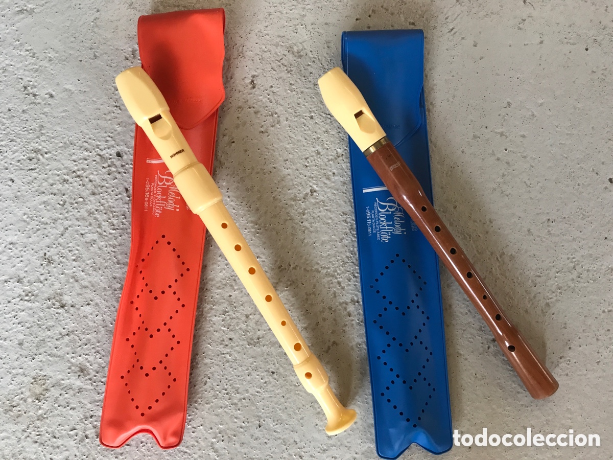 Instrumentos musicales: Flauta Honner. Pareja. Pasta/pl&aacute;stico y madera. - Foto 1
