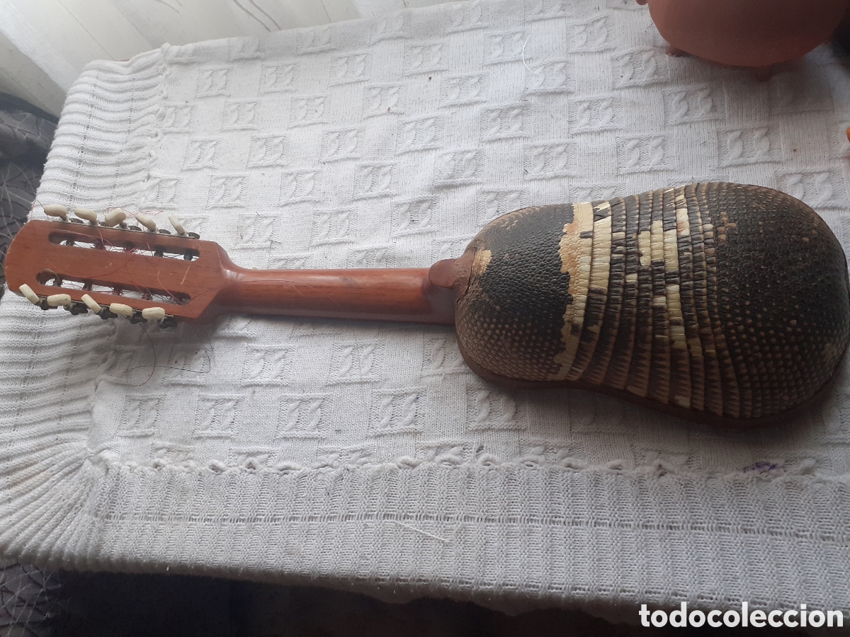 Instrumentos musicales: Mandolina /Charango antigua de concha de tatu - Foto 1