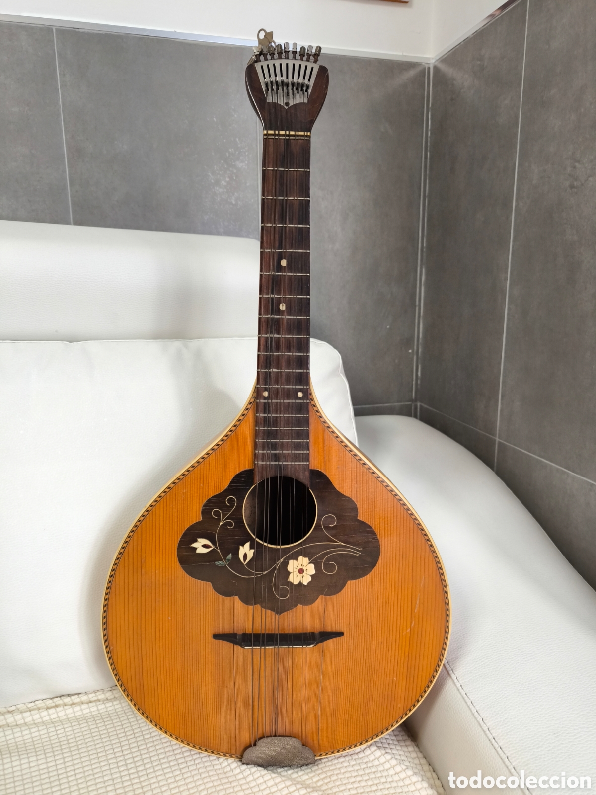 Instrumentos musicales: Waldzither mandolina instrumento - Foto 1