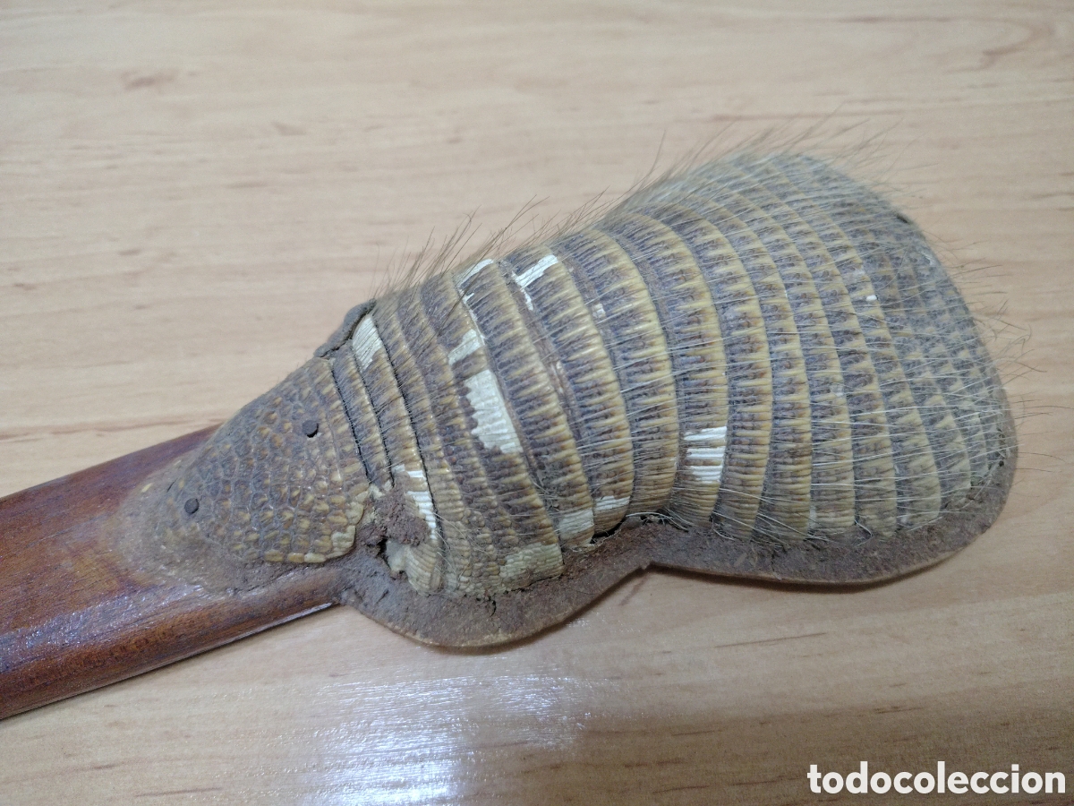 Instrumentos musicales: Charango caparaz&oacute;n de armadillo tama&ntilde;o peque&ntilde;o - Foto 2
