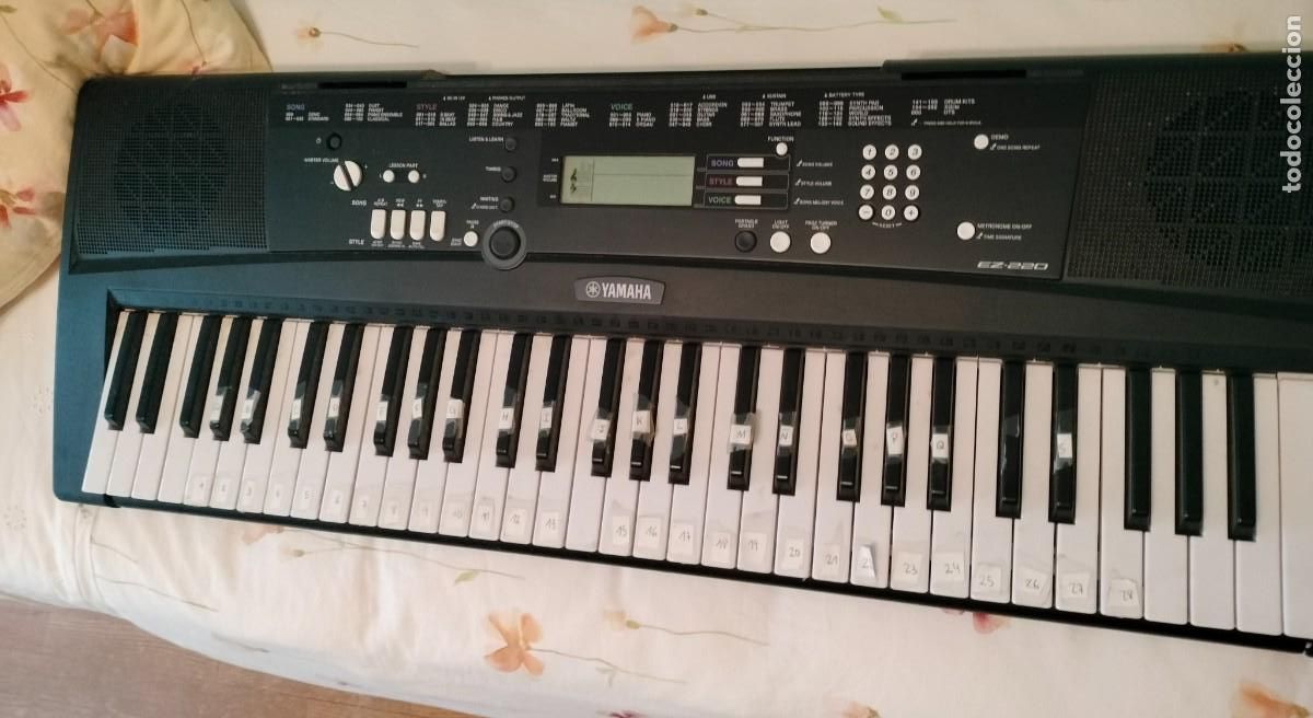 Instrumentos musicales: PIANO, ORGANO, TECLADO MARACA YAMAHA MODELO EZ-220.