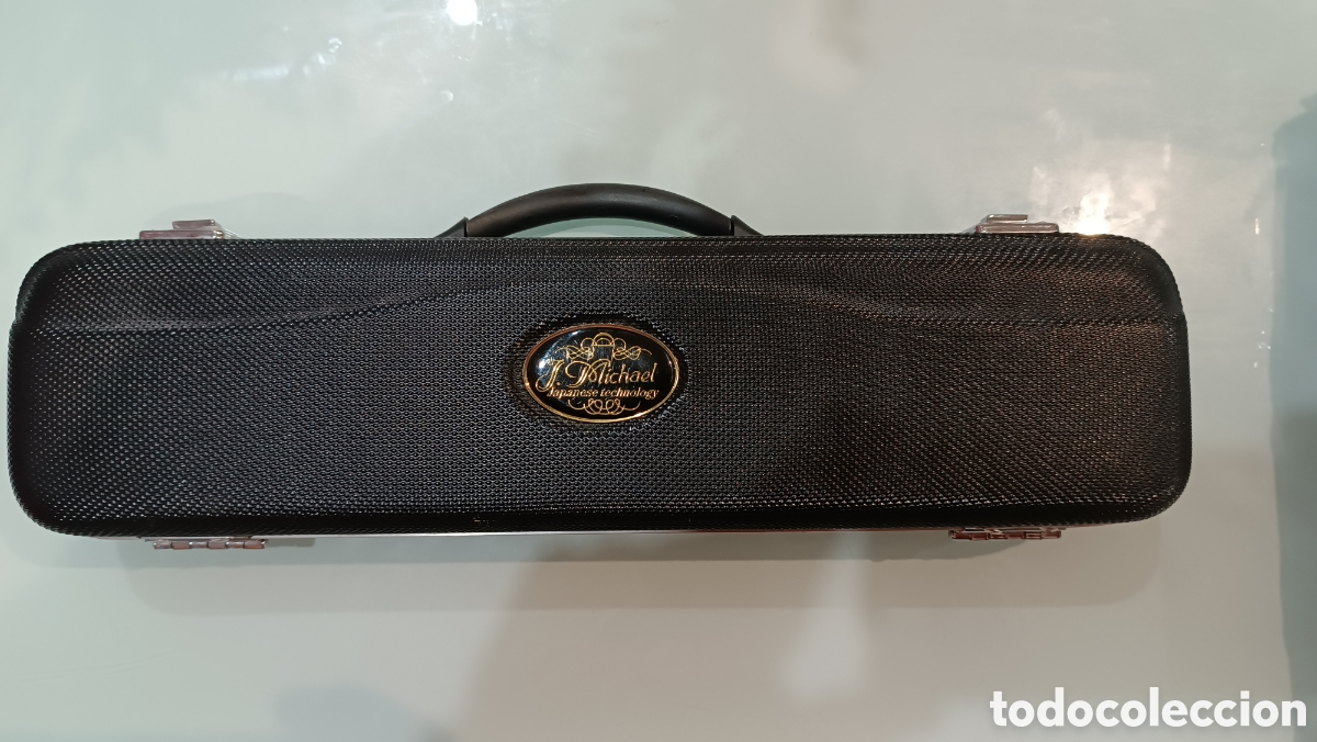 Musical instruments: Estuche flauta travesera