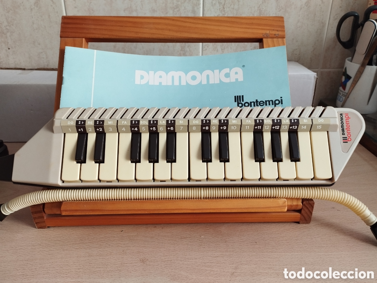 Instrumentos musicales: INSTRUMENTO MUSICAL DIAMONICA BONTEMPI - Foto 3