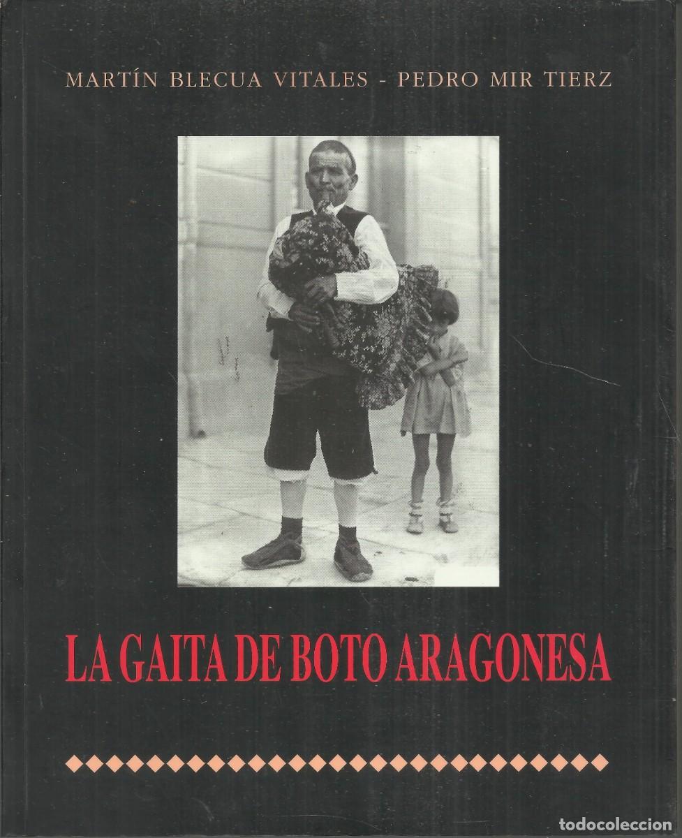 Instrumentos musicales: La Gaita de boto aragonesa
