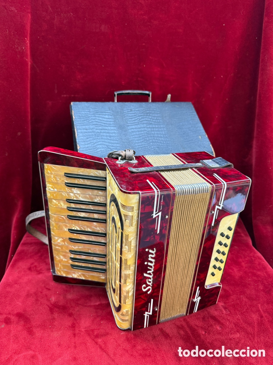 Instrumentos musicales: Espectacular y antiguo acordeon profesional Salvini