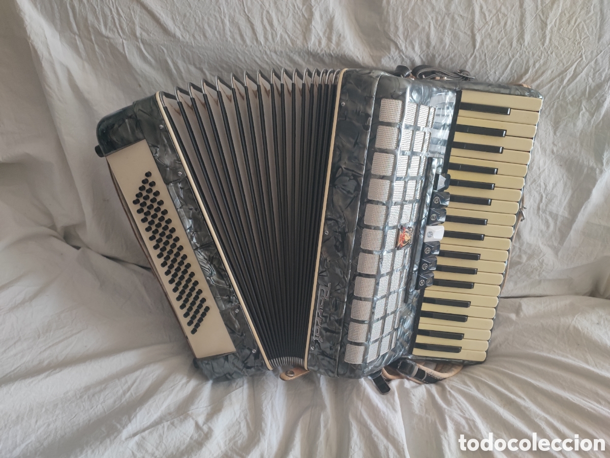 Instrumentos musicales: Acorde&oacute;n Parrot de 120 bajos + estuche. En perfecto estado.