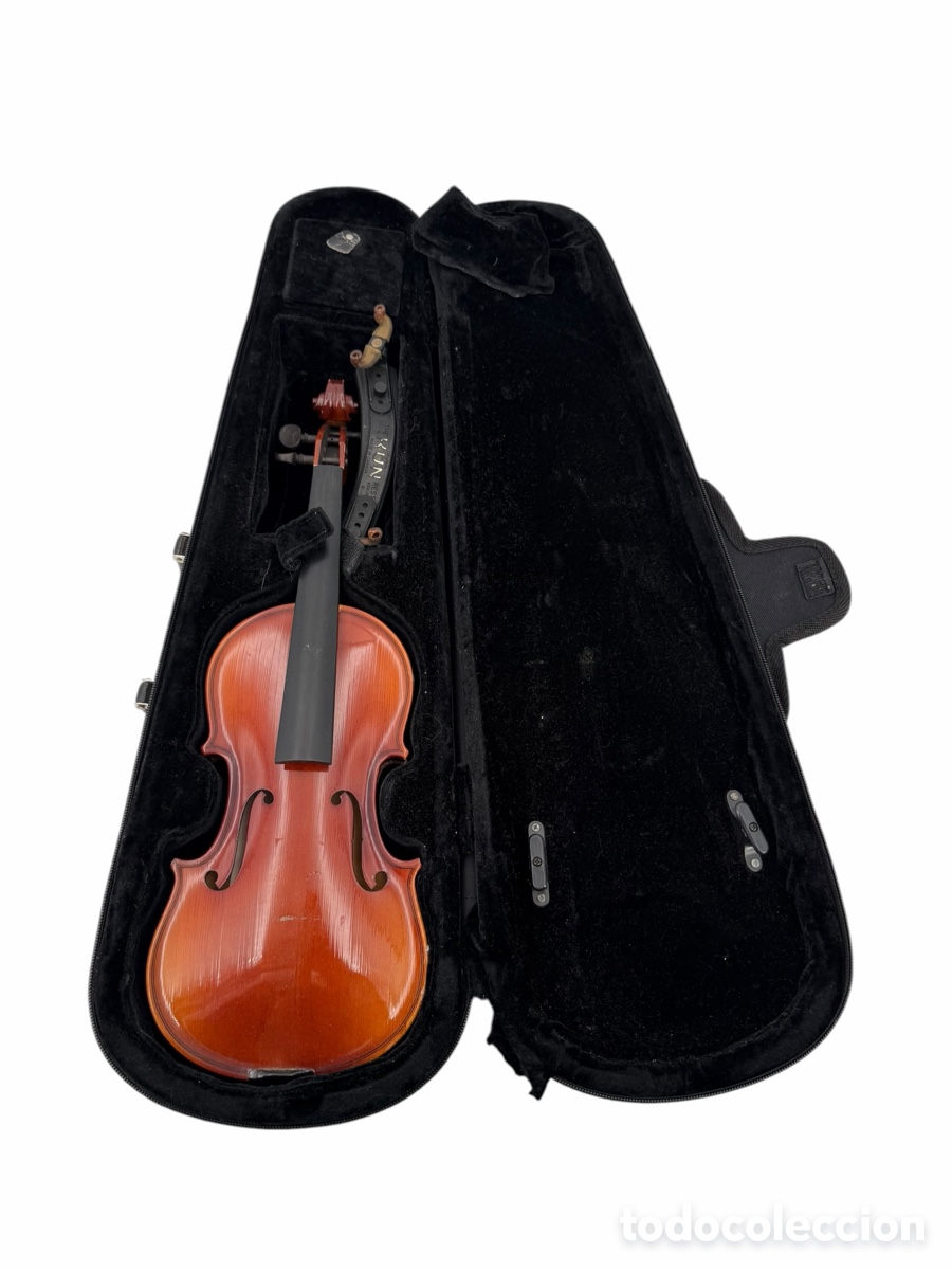 Instrumentos musicales: Viol&iacute;n en Caja con Complementos