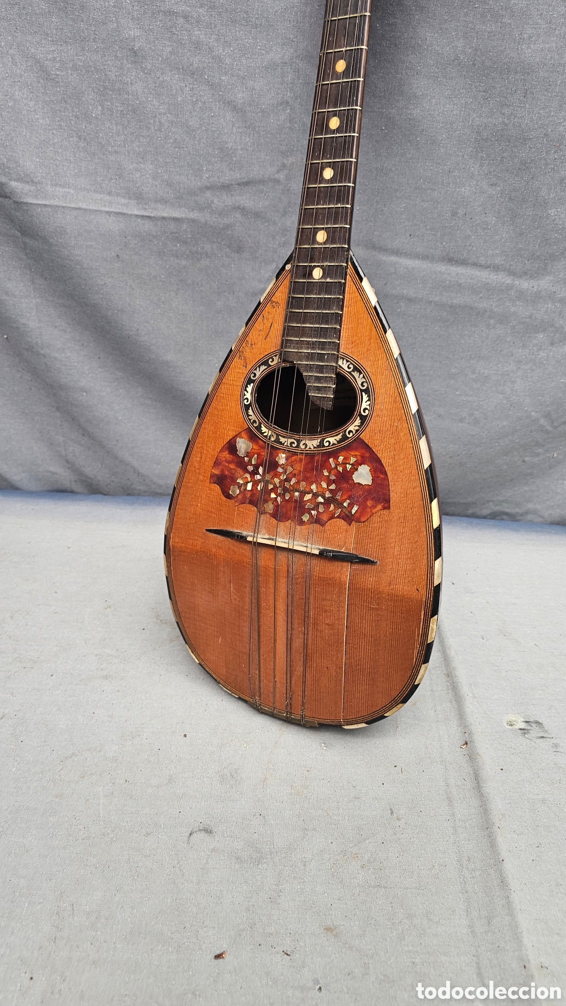 Instrumentos musicales: Antigua mandolina napolitana P.S. XX marca Fratelli Umberto.