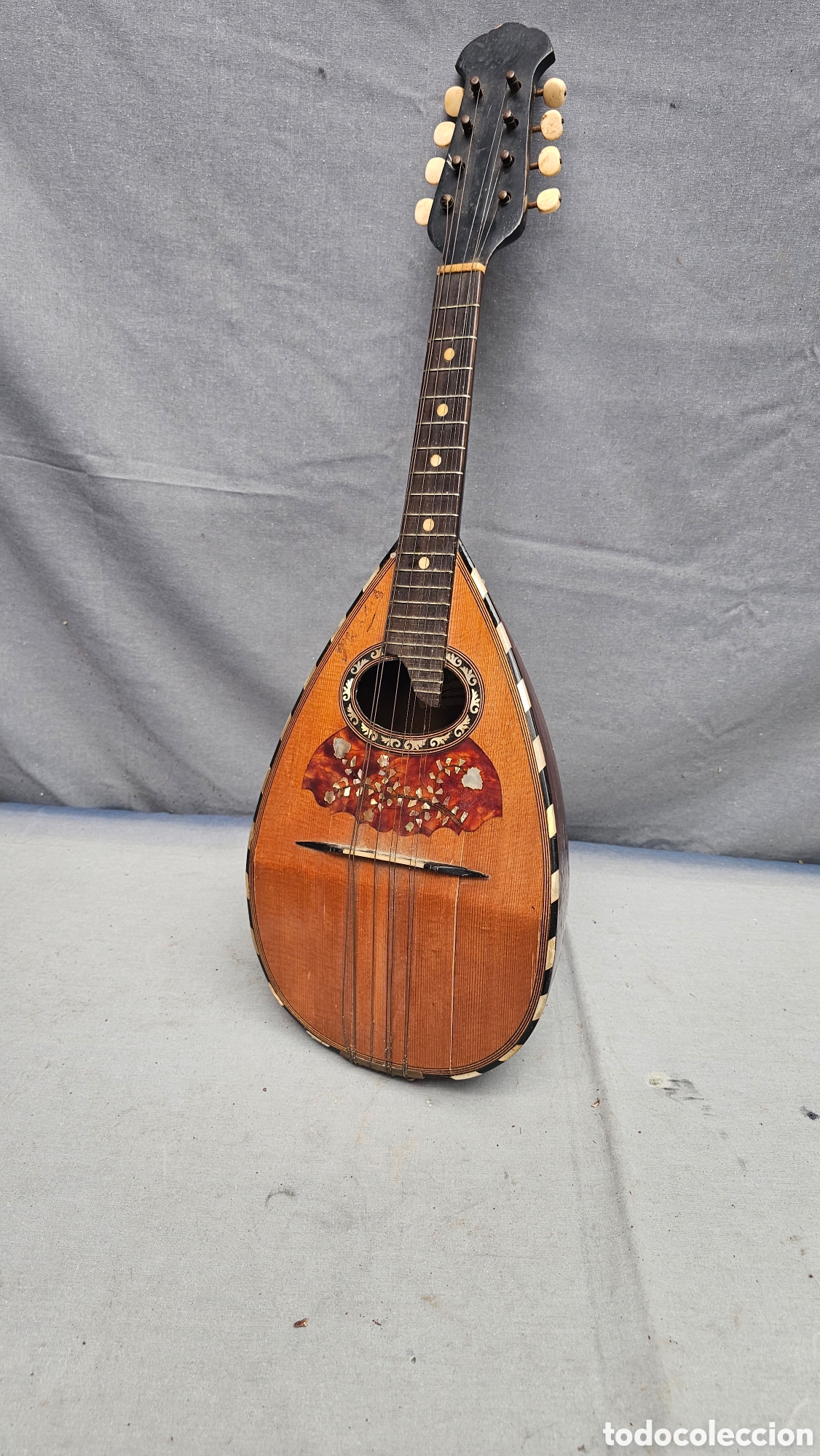 Instrumentos musicales: Antigua mandolina napolitana P.S. XX marca Fratelli Umberto.