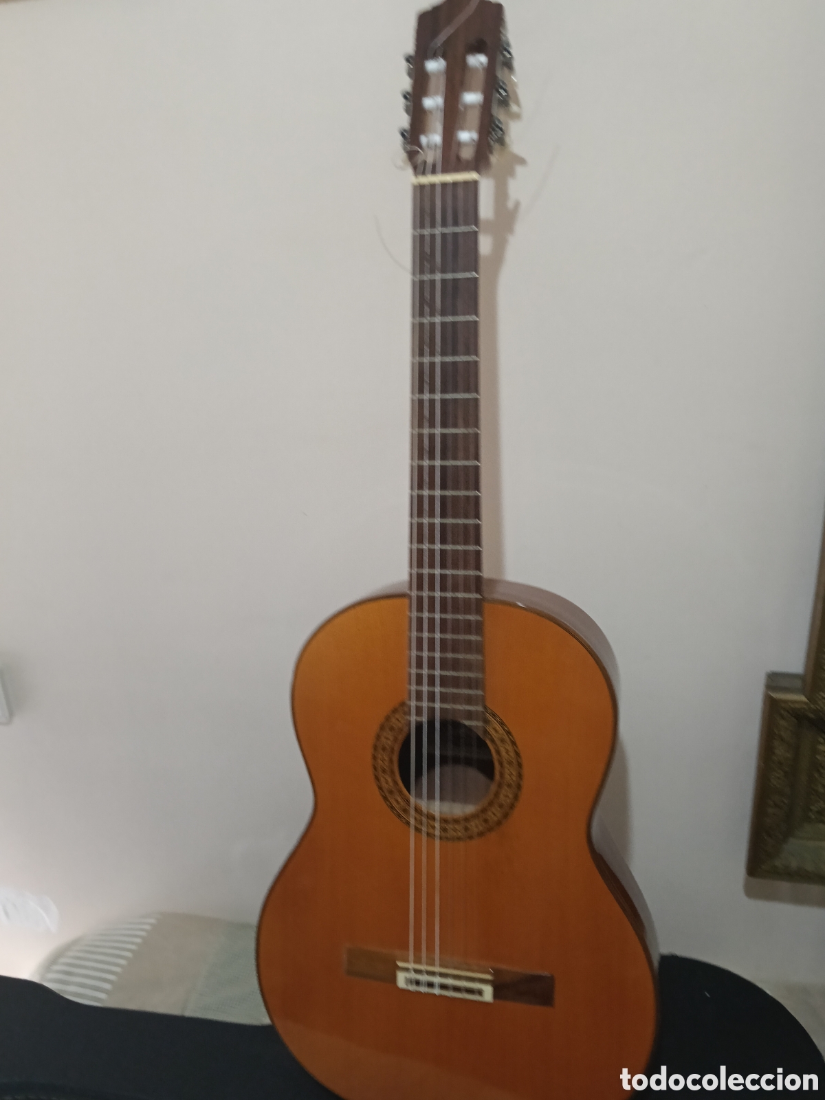 Instrumentos musicales: Guitarra flamenca serran&iacute;a