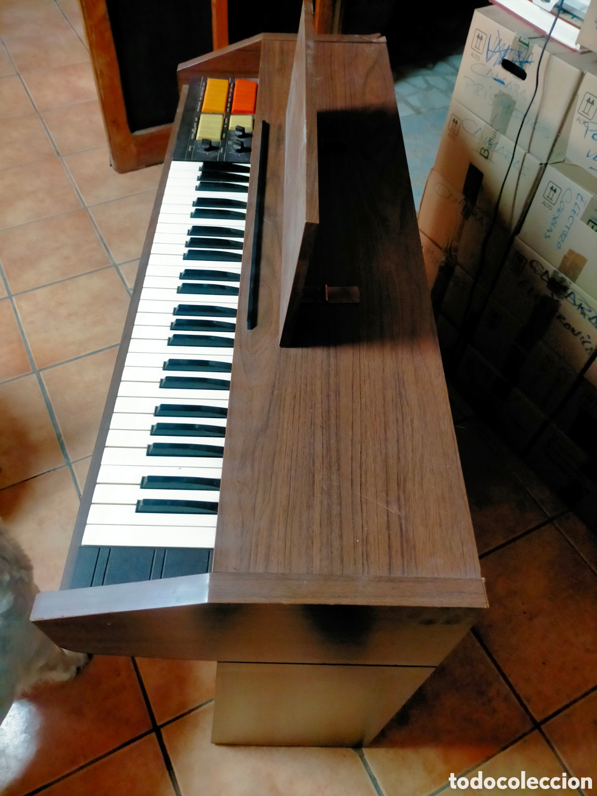 Instrumentos musicales: ORGANO ELECTRONICO ANTONELLI. JOC - Foto 3