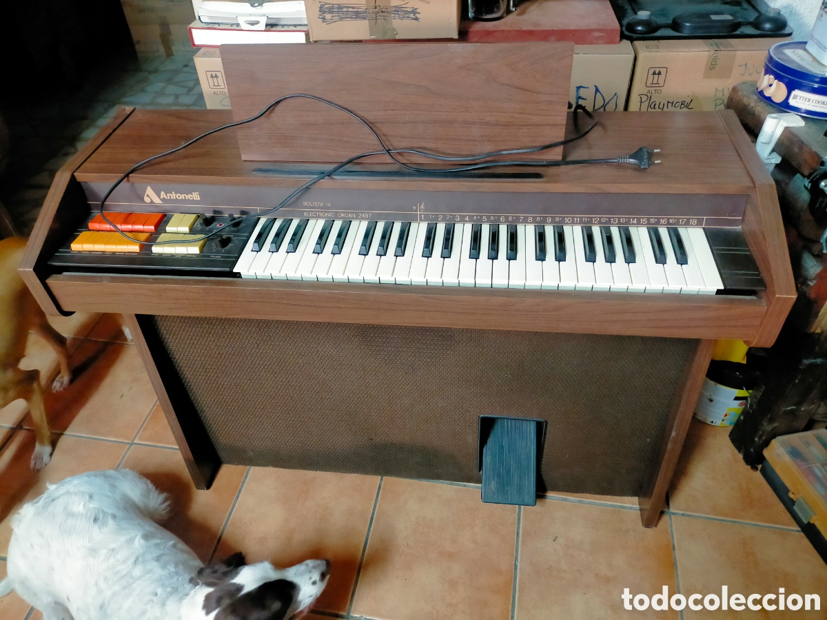Instrumentos musicales: ORGANO ELECTRONICO ANTONELLI