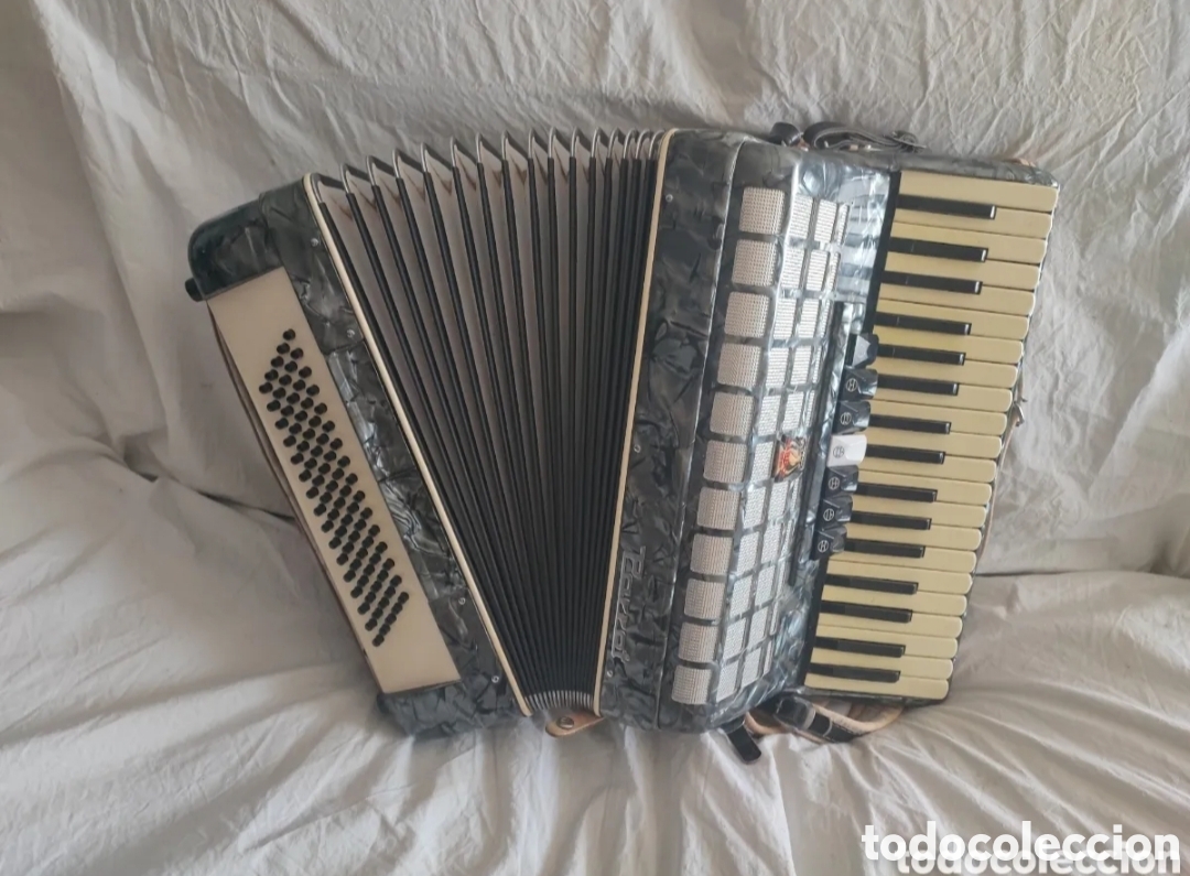 Musikinstrumente: Acorde&oacute;n Parrot de 120 bajos + estuche. En perfecto estado.