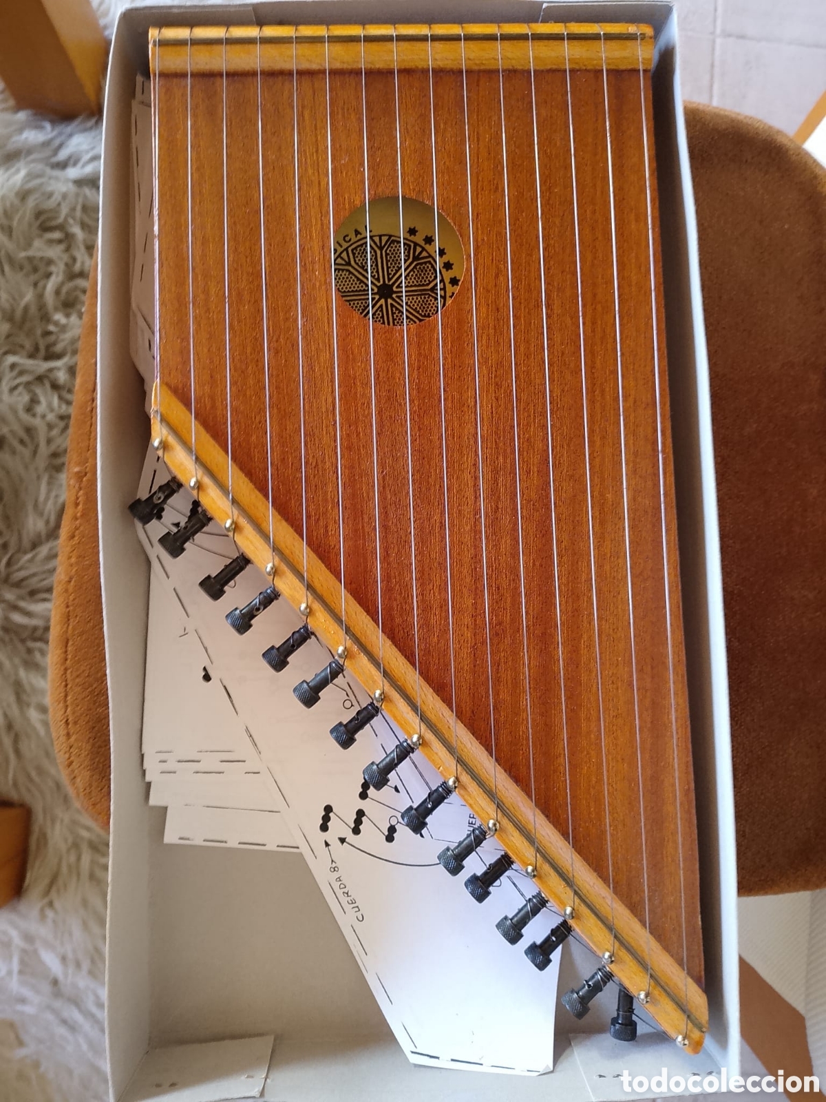 Instrumentos musicales: Citara instrumento de cuerda