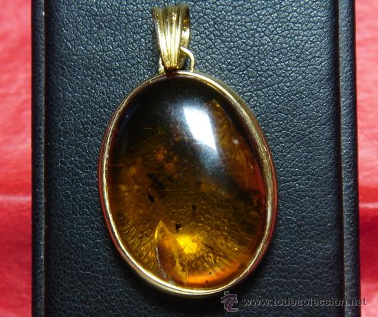 Joyeria: colgante de oro de 18 Kts y ambar con insectos. - Foto 2