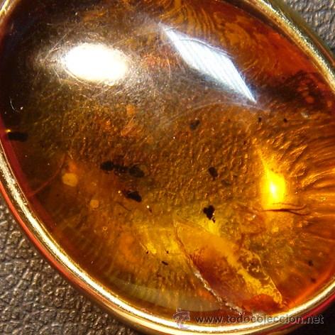 Joyeria: colgante de oro de 18 Kts y ambar con insectos. - Foto 3