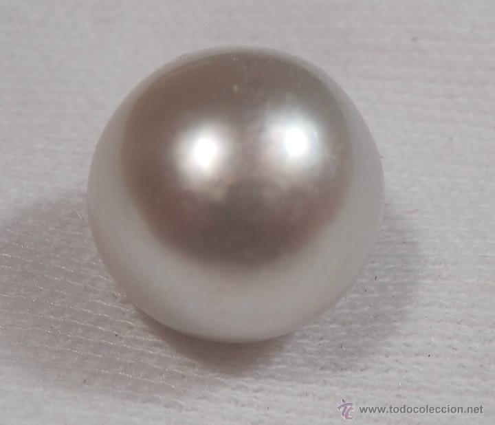 Joyeria: PERLA AUSTRALIANA (PERLA DE LOS MARES DEL SUR) (18.60 Qts) - Foto 2