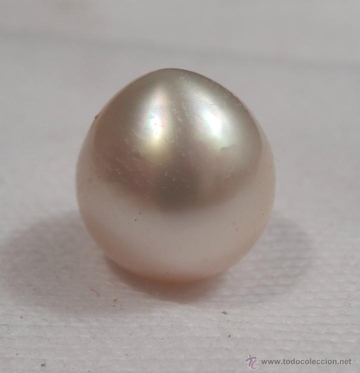 Joyeria: PERLA AUSTRALIANA (PERLA DE LOS MARES DEL SUR)  (9.45 Qts) - Foto 2